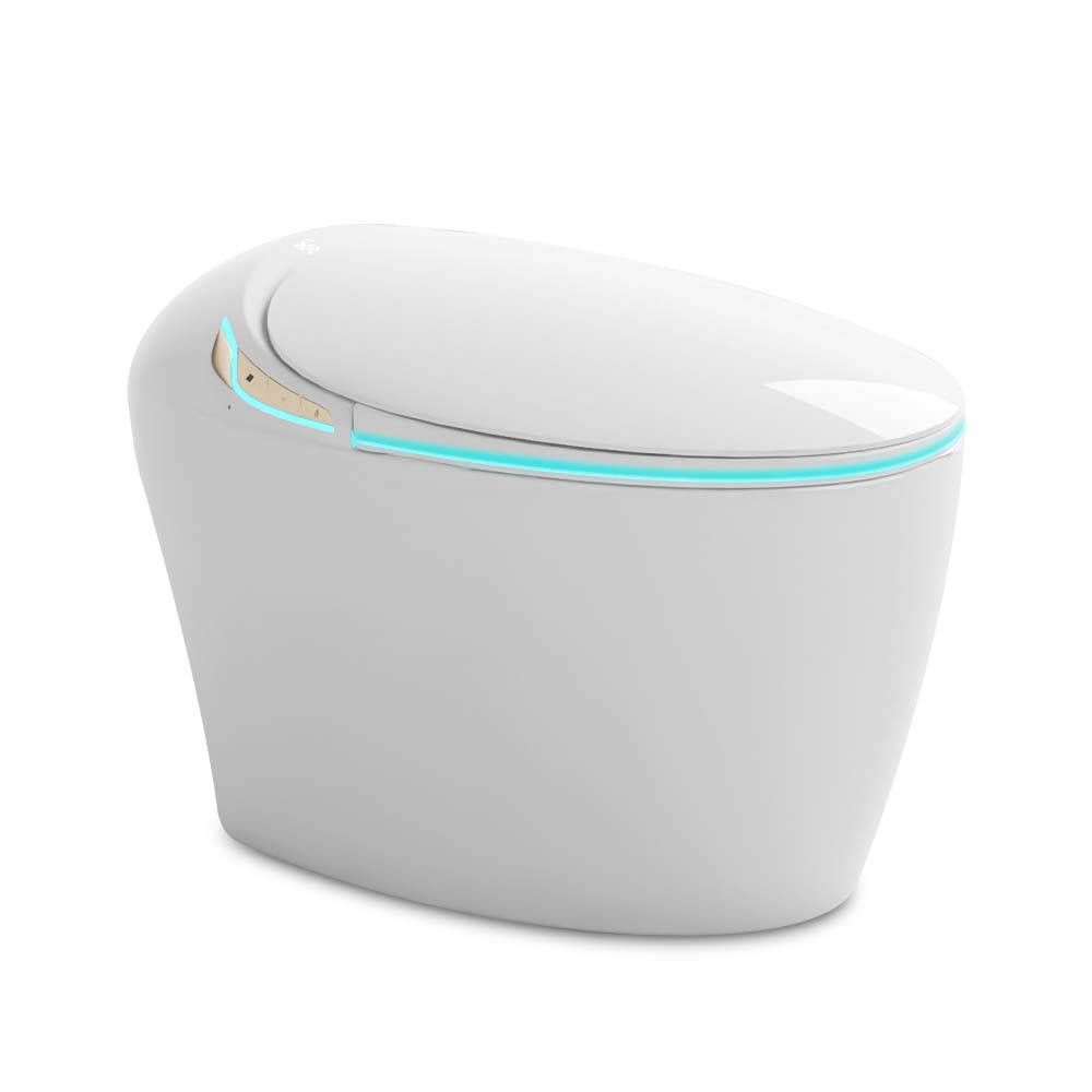 Bồn cầu điện tử EBS339