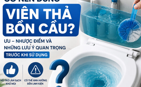 CÓ NÊN DÙNG VIÊN THẢ BỒN CẦU